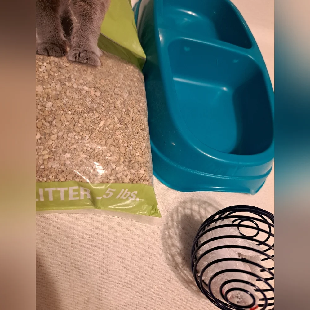 Cat Bundle Ball Little Bowl